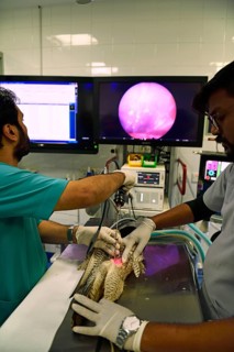 Medical treatment