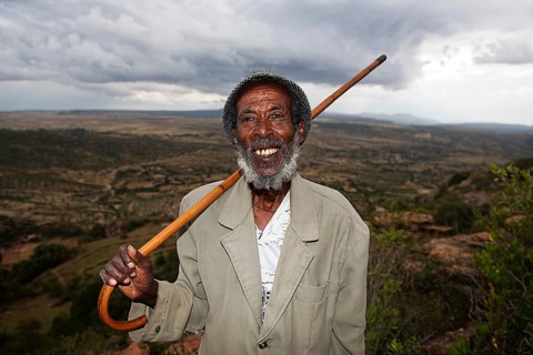 Local guide