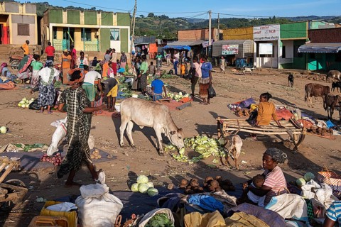 Market with vegetables in Jinka