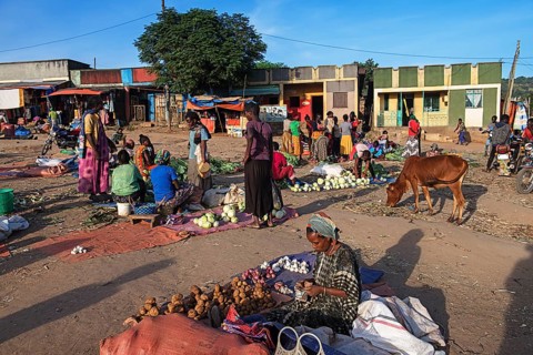 Market with vegetables in Jinka