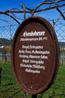 Wine Blessed Proverbs along the Almond Trail of Edenkoben