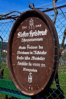 Wine Blessed Proverbs along the Almond Trail of Edenkoben