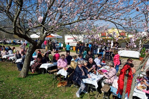 Almond blossom and wine festival in Gimmeldingen