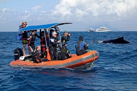 Diving