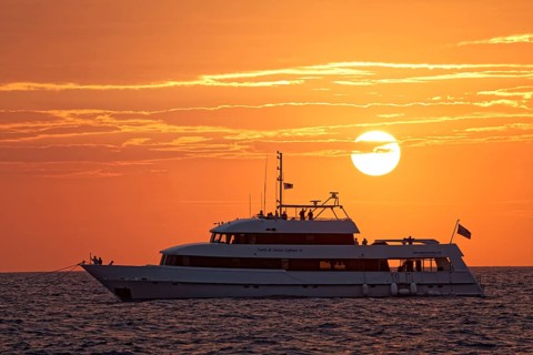 Whale watching and diving ship Turks & Caicos Explorer II