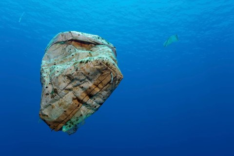 Plastic waste floating in the open sea