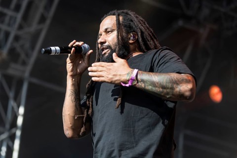 The German reggae musician Gentleman and the Jamaican reggae musician Ky-Mani Marley