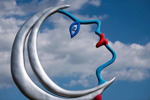 Face in front of cloudy sky