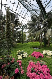 Greenhouse