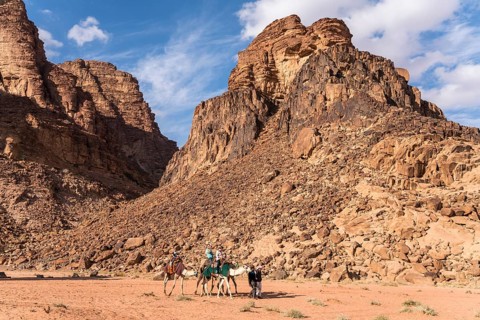 Camels with tourists in the desert Wadi Rum