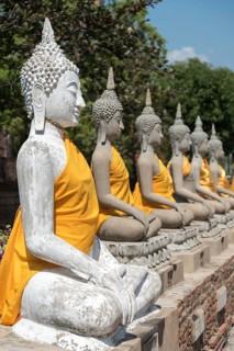 Row of Buddha statues