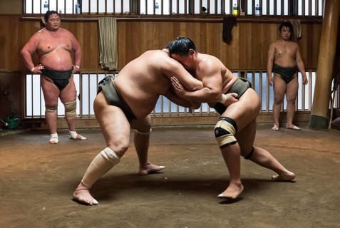 Wrestlers Sumo Training Session