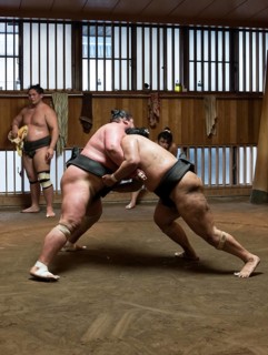 Wrestlers Sumo Training Session