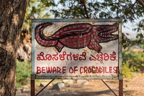 Beware of Crocodiles warning sign