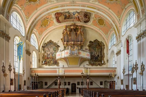 Organ gallery