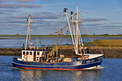 Fishing boat in Norddeich Mole channel