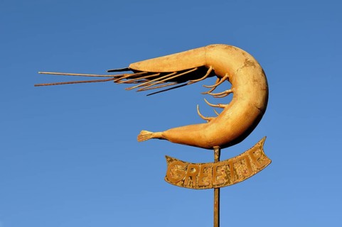 Monument to North Sea brown shrimp