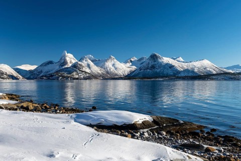 Coastal landscape by the fjord