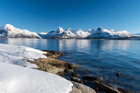Coastal landscape by the fjord