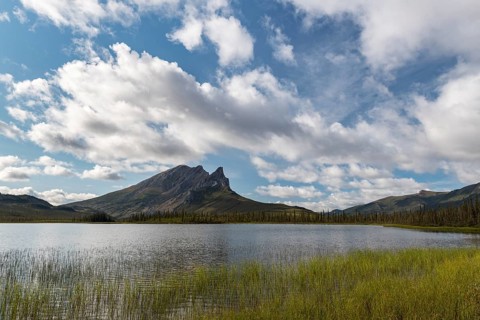 Mount Sukakpak and tundral landscape