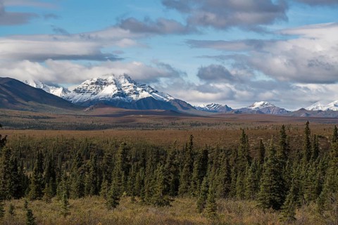 Snow covered mountains of the Alaska Range with tundral landscape