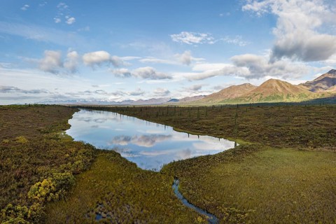 Lake in autumnal tundral landscape