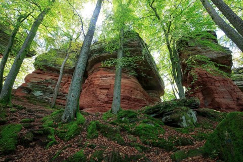 Altschlossfelsen
