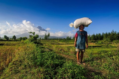 Man with bag of rice on his head before volcano Mayon