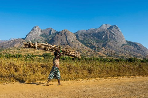 Woman with huge pile of wood carrying wood on her head before Mount Mulanje