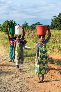 Local women carrying buckets on their head