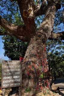Killing Tree with bracelets in memory of killed children