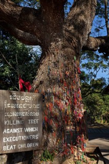Killing Tree with bracelets in memory of killed children