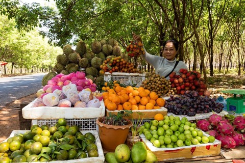 Fruit seller on National Highway 7 near Memot