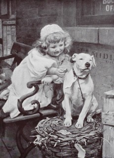 Little girl gives the domestic dog a biscuit