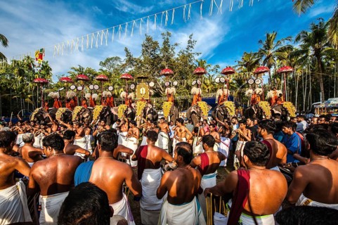 Hindu temple festival with many elephants