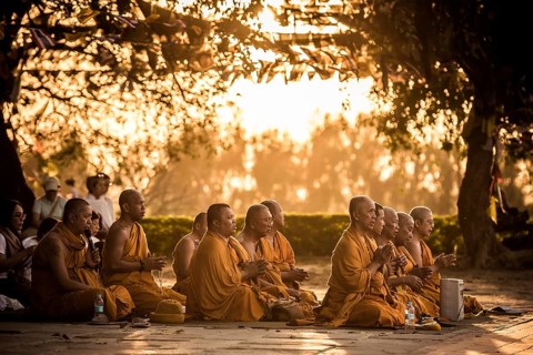 Buddhist pilgrims pray at Bodhi tree at Mayadevi temple