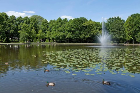 Pond with fountain