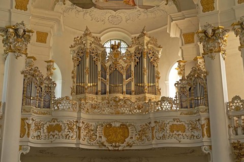 Organ gallery