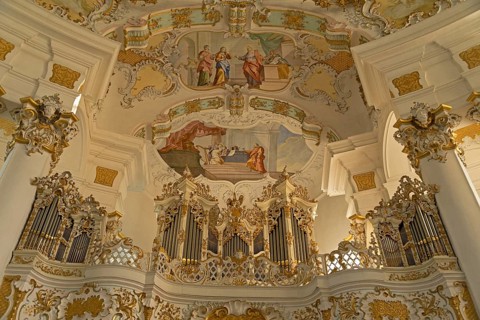 Organ gallery