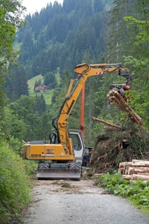 Tree felling with excavator