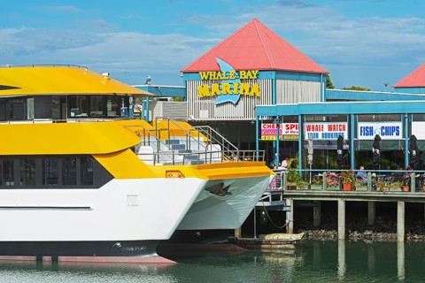 Boat harbour