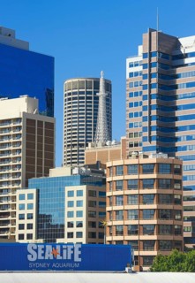 Skyline