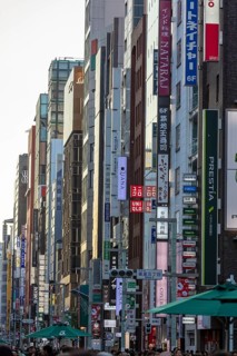 Row of houses with advertising signs in the shopping mile