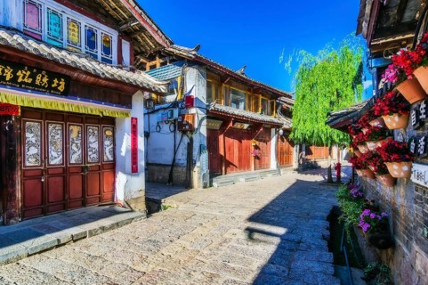 Street view with traditional houses