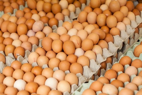 Fresh eggs