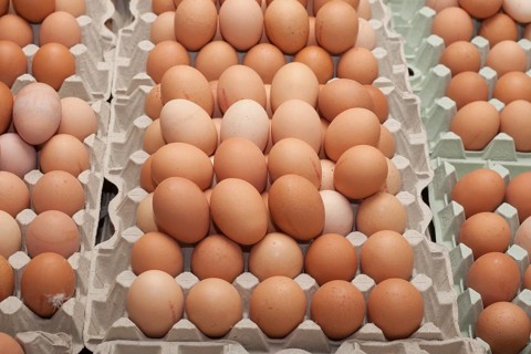 Fresh eggs
