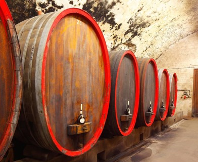 Old wooden wine barrels