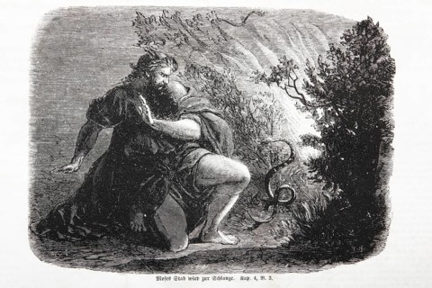 Moses' Staff Becomes a Serpent