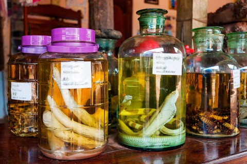 Pickled animals