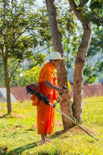 Monk mowing the lawn with a brush cutter or lawn trimmer